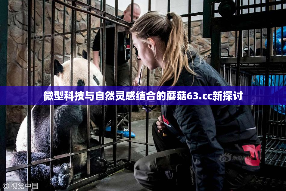 微型科技与自然灵感结合的蘑菇63.㏄新探讨