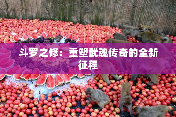 斗罗之修：重塑武魂传奇的全新征程