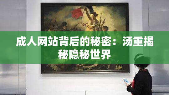 成人网站背后的秘密：汤重揭秘隐秘世界