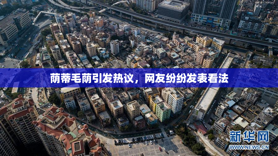 荫蒂毛荫引发热议，网友纷纷发表看法