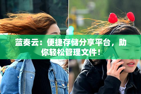 蓝奏云：便捷存储分享平台，助你轻松管理文件！