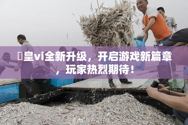 嘼皇vi全新升级，开启游戏新篇章，玩家热烈期待！