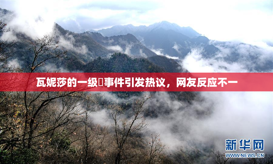 瓦妮莎的一级婬事件引发热议，网友反应不一