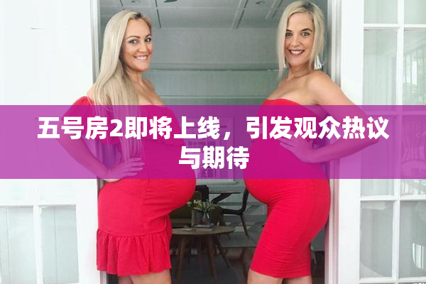 五号房2即将上线，引发观众热议与期待