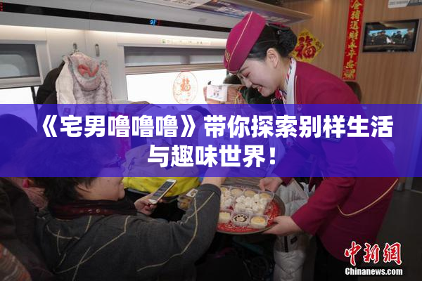 《宅男噜噜噜》带你探索别样生活与趣味世界！