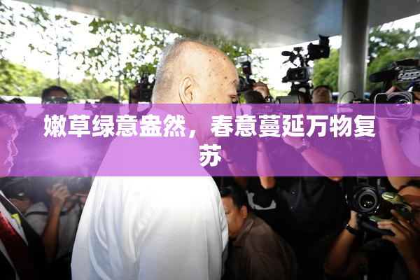 嫩草绿意盎然，春意蔓延万物复苏
