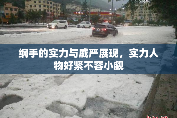 纲手的实力与威严展现，实力人物好紧不容小觑