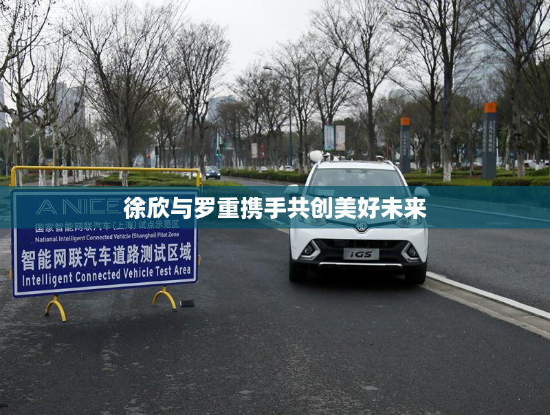 徐欣与罗重携手共创美好未来