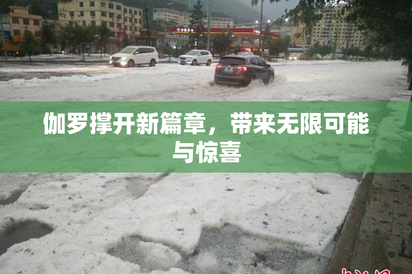 伽罗撑开新篇章，带来无限可能与惊喜