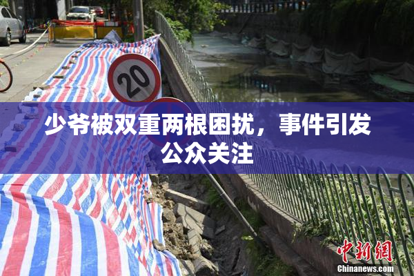 少爷被双重两根困扰，事件引发公众关注