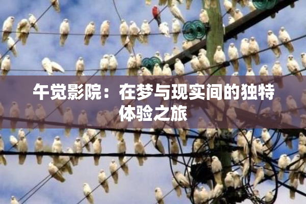 午觉影院：在梦与现实间的独特体验之旅