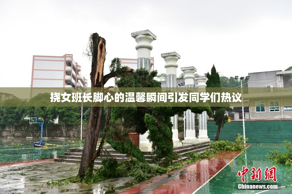 挠女班长脚心的温馨瞬间引发同学们热议