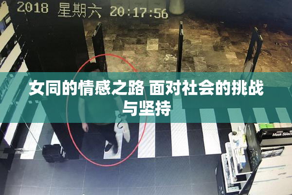 女同的情感之路 面对社会的挑战与坚持
