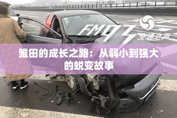 雏田的成长之路：从弱小到强大的蜕变故事