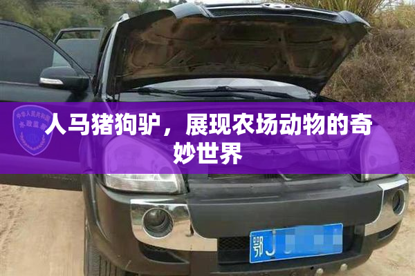 人马猪狗驴，展现农场动物的奇妙世界