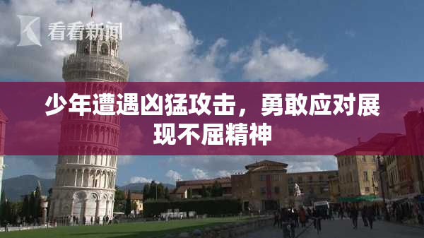 少年遭遇凶猛攻击，勇敢应对展现不屈精神