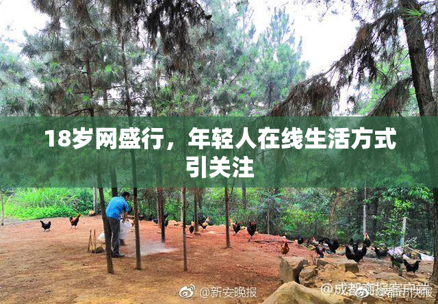 18岁网盛行，年轻人在线生活方式引关注