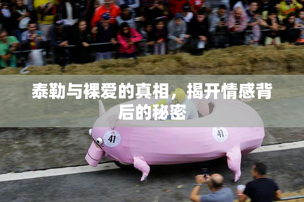 泰勒与裸爱的真相，揭开情感背后的秘密