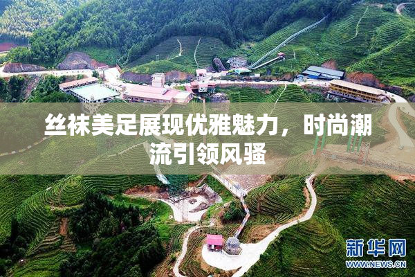 丝袜美足展现优雅魅力，时尚潮流引领风骚