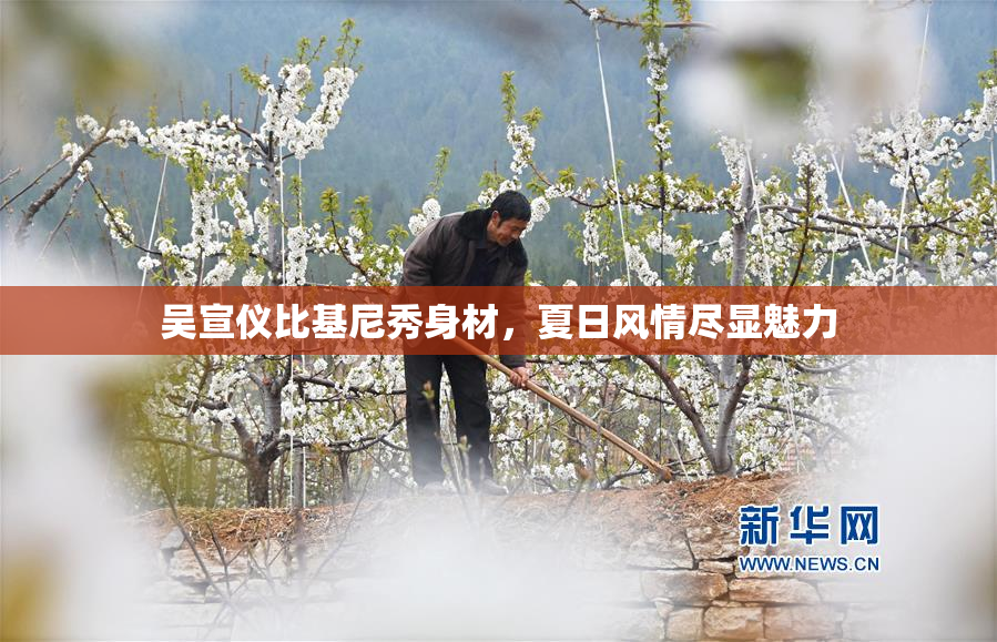 吴宣仪比基尼秀身材，夏日风情尽显魅力