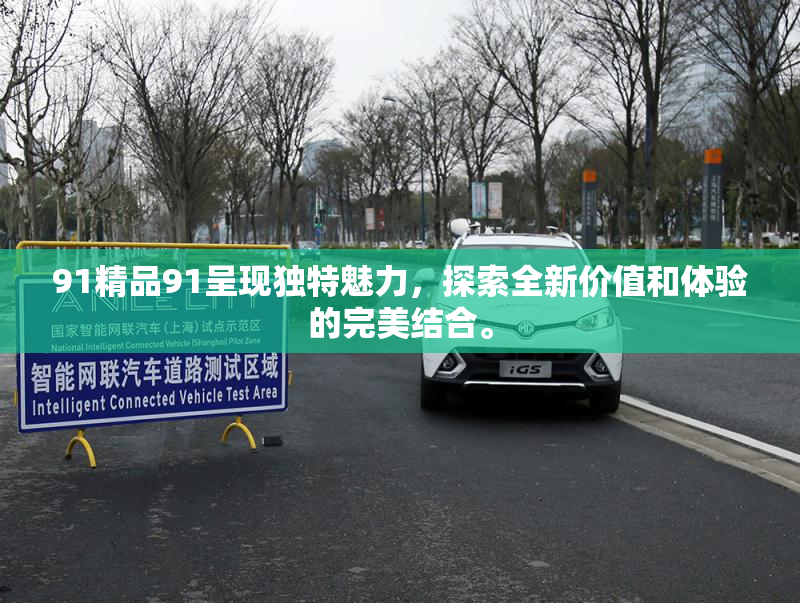91精品91呈现独特魅力，探索全新价值和体验的完美结合。