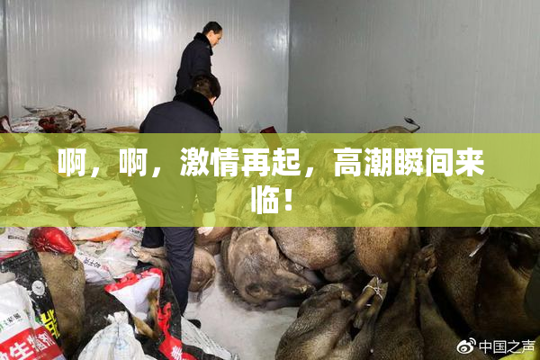 啊，啊，激情再起，高潮瞬间来临！