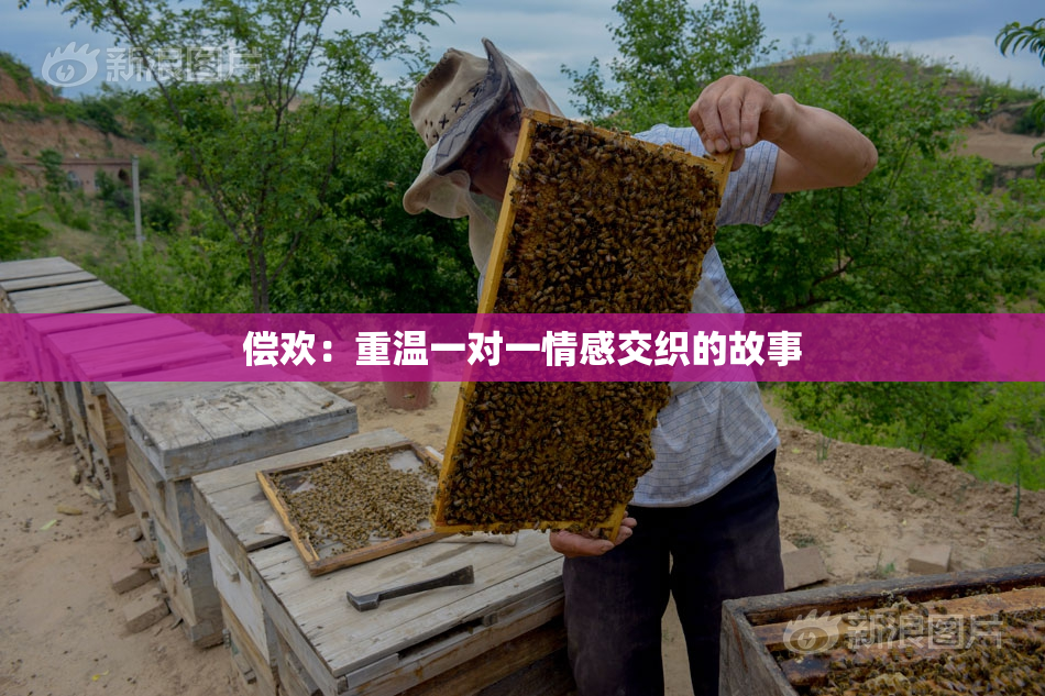偿欢：重温一对一情感交织的故事