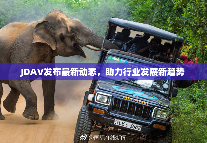 JDAV发布最新动态，助力行业发展新趋势