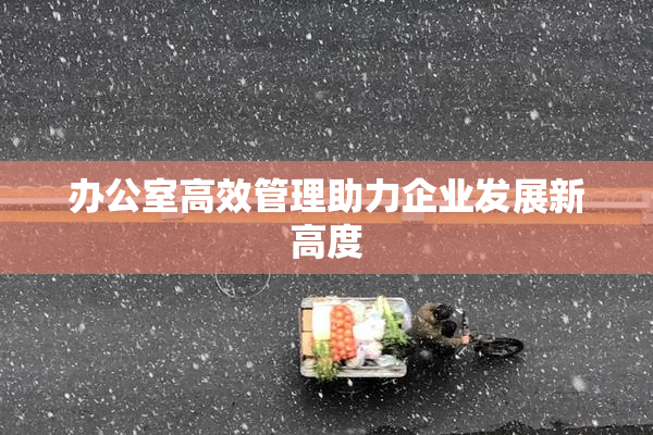办公室高效管理助力企业发展新高度