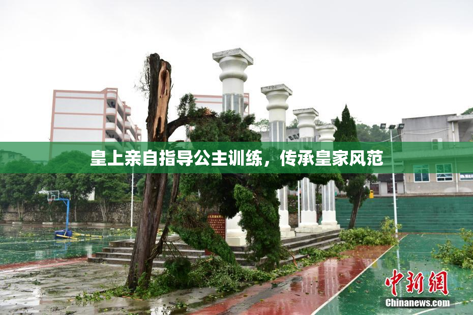 皇上亲自指导公主训练，传承皇家风范