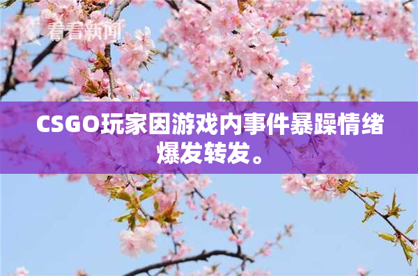 CSGO玩家因游戏内事件暴躁情绪爆发转发。