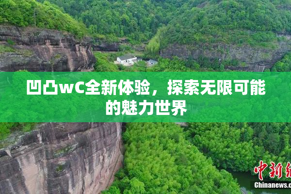 凹凸wC全新体验，探索无限可能的魅力世界