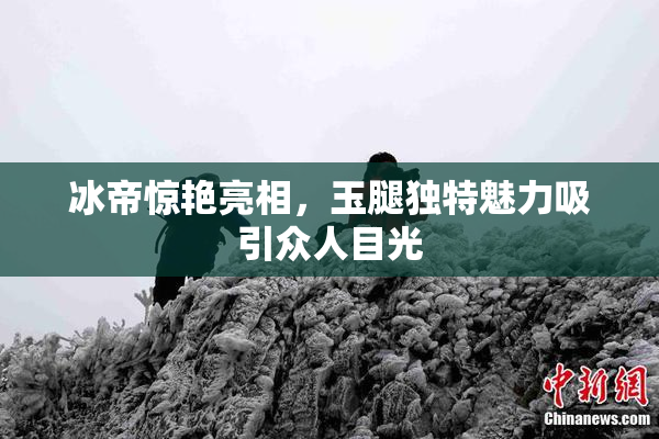 冰帝惊艳亮相，玉腿独特魅力吸引众人目光