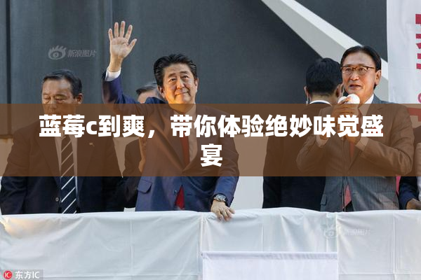 蓝莓c到爽，带你体验绝妙味觉盛宴