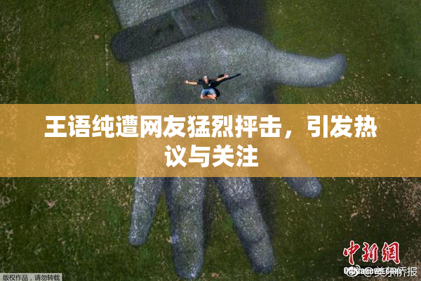 王语纯遭网友猛烈抨击，引发热议与关注