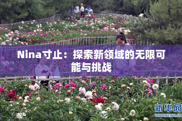 Nina寸止：探索新领域的无限可能与挑战
