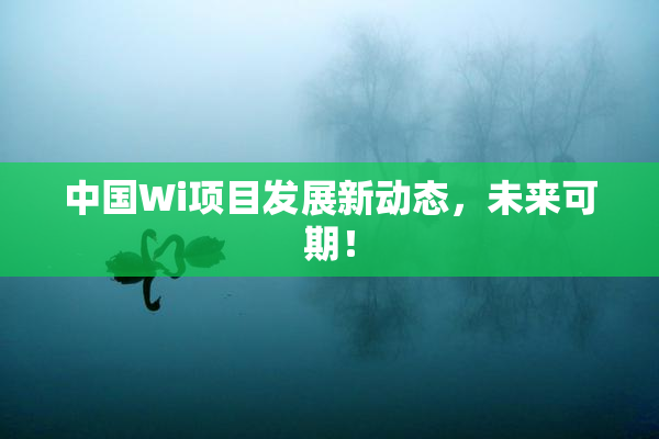 中国Wi项目发展新动态，未来可期！