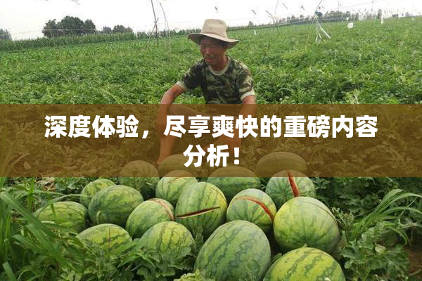 深度体验，尽享爽快的重磅内容分析！