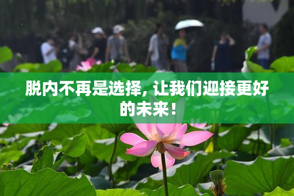 脱内不再是选择, 让我们迎接更好的未来！