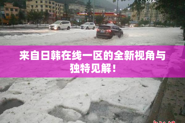 来自日韩在线一区的全新视角与独特见解！