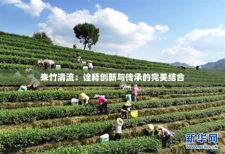 朱竹清流：诠释创新与传承的完美结合