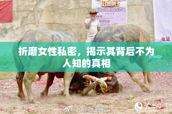 折磨女性私密，揭示其背后不为人知的真相