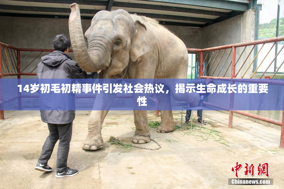 14岁初毛初精事件引发社会热议，揭示生命成长的重要性