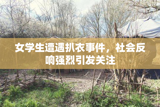 女学生遭遇扒衣事件，社会反响强烈引发关注