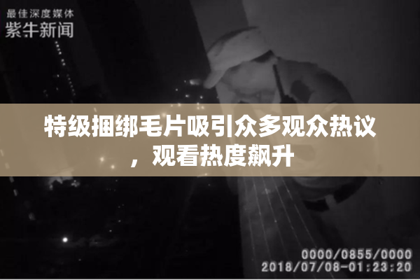 特级捆绑毛片吸引众多观众热议，观看热度飙升