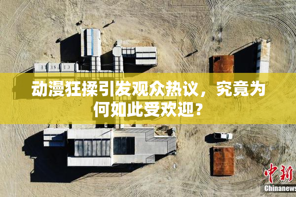 动漫狂揉引发观众热议，究竟为何如此受欢迎？