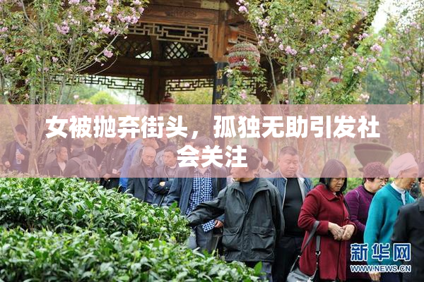 女被抛弃街头，孤独无助引发社会关注
