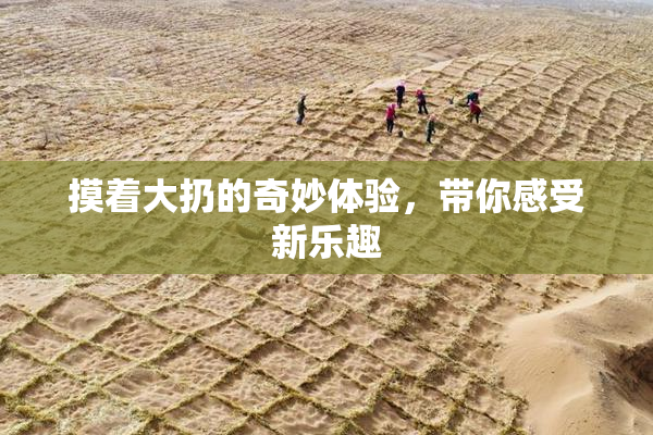 摸着大扔的奇妙体验，带你感受新乐趣
