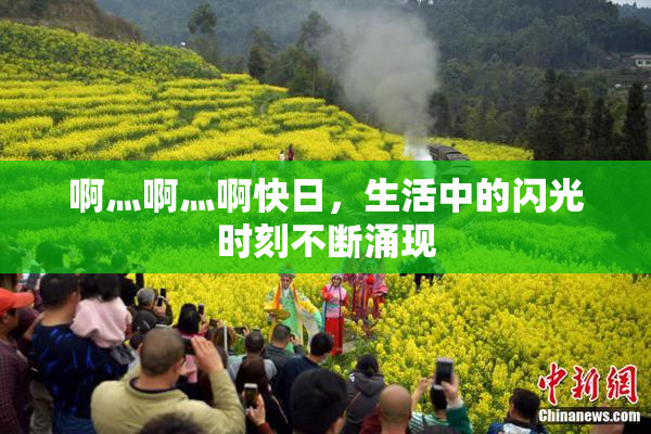 啊灬啊灬啊快日，生活中的闪光时刻不断涌现