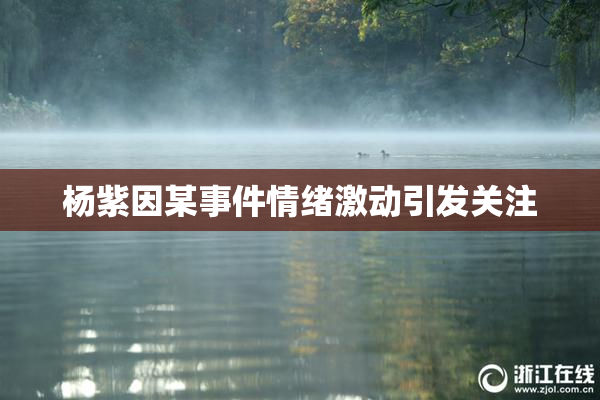 杨紫因某事件情绪激动引发关注